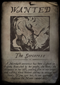 The sorceress's wanted poster.