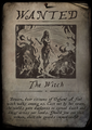 The witch's wanted poster.